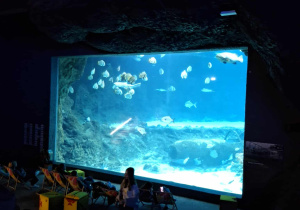 Wycieczka ósmoklasistów do Orientarium w Łodzi