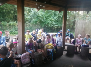 Wycieczka do Pasieki w Lipce