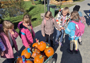 Wycieczka do Dobronia