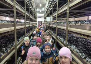 Wycieczka do Dobronia