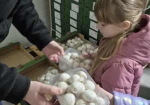 Wycieczka do Dobronia