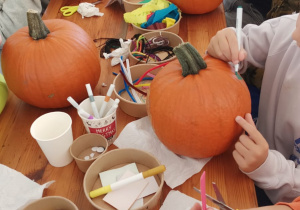 Wycieczka do Dobronia