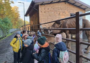 Wycieczka do Dobronia