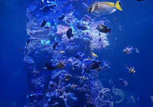 Wycieczka ósmoklasistów do Orientarium w Łodzi