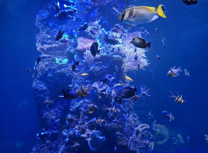 Wycieczka ósmoklasistów do Orientarium w Łodzi