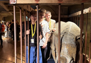 Projekt „Poznajemy stolice Europy” – Portugalia