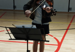 Nową tradycją naszej szkoły stały się koncerty noworoczne.