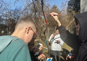 Projekt czytelniczy-plastyczny