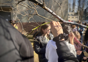 Projekt czytelniczy-plastyczny