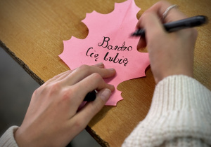 Projekt czytelniczy-plastyczny