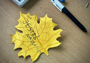 Projekt czytelniczy-plastyczny