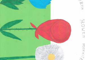 Akcja- komunikacja bez agresji